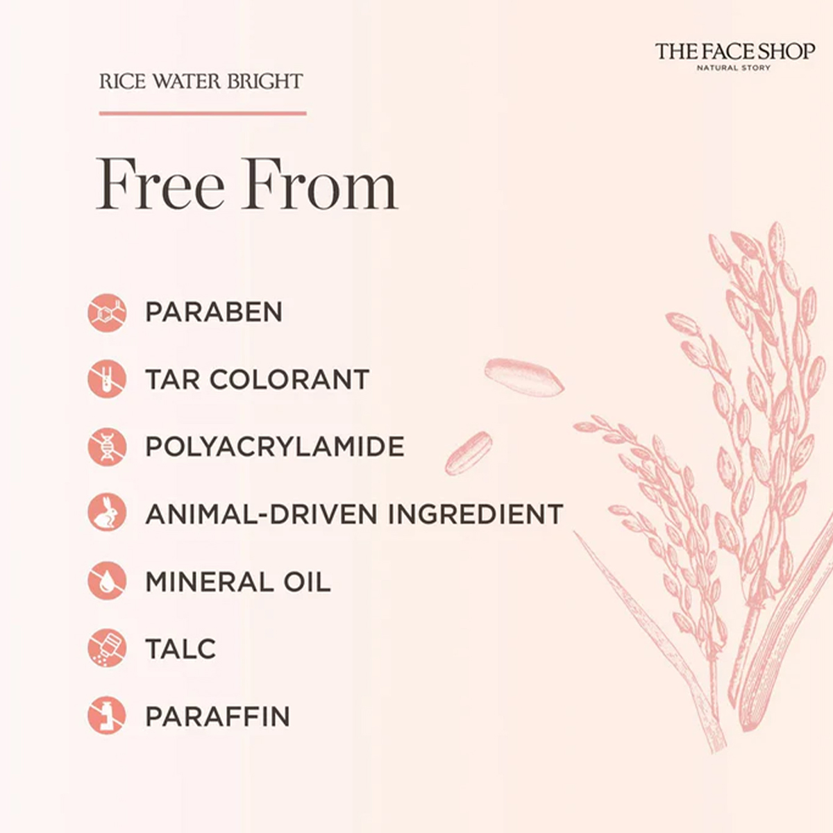 THE FACE SHOP Pirinç Suyu Parl - Luxury Skincare Aesthetic incelemesi ve fiyatı